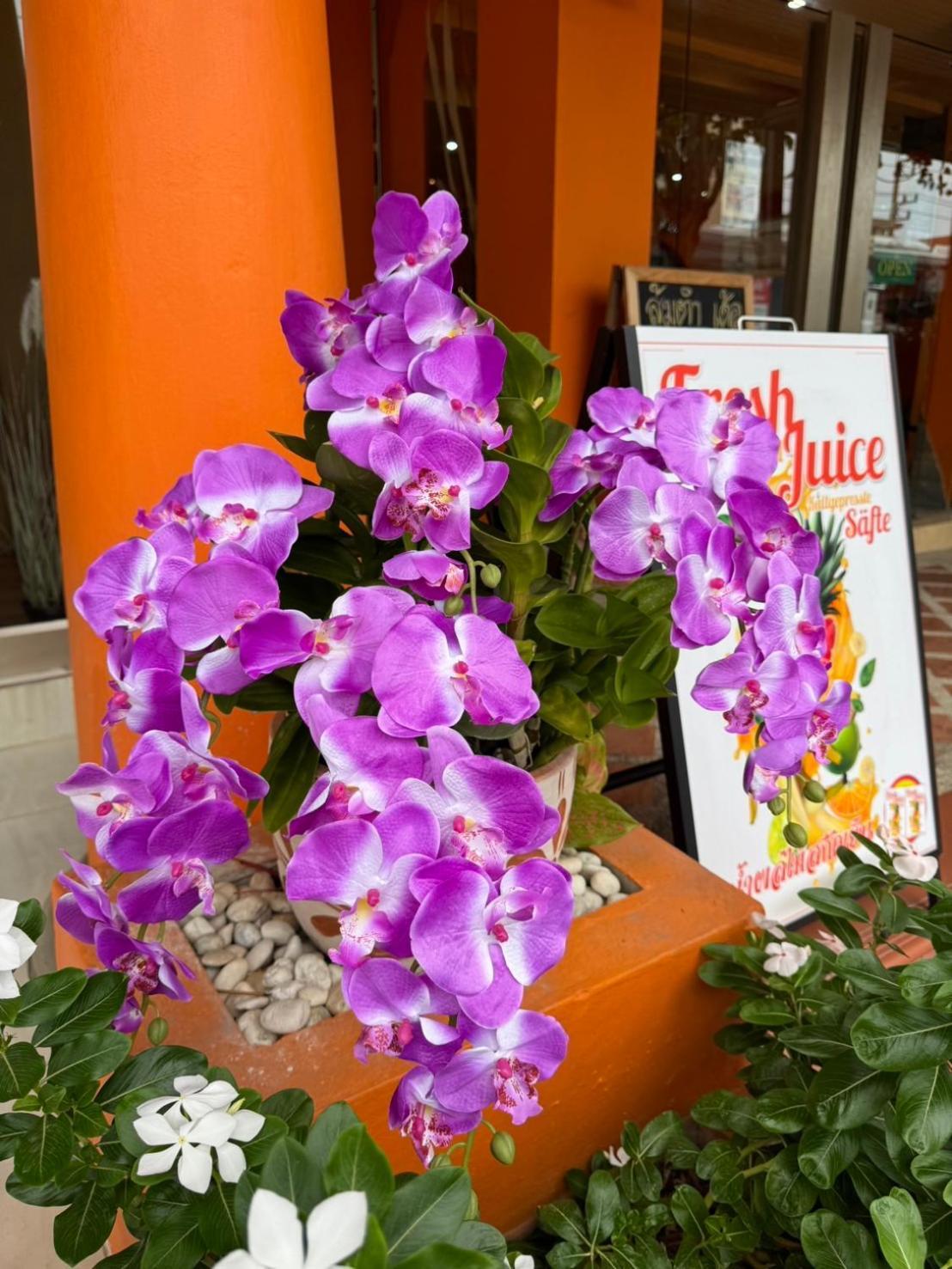 Venice Hotel HHQ Exterior foto
